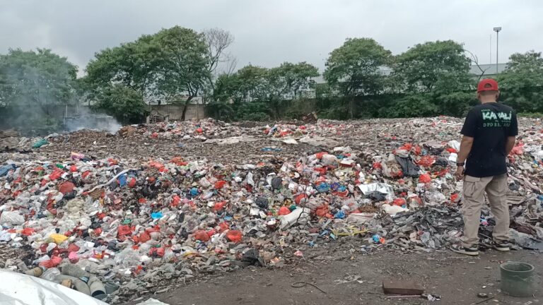 IMG_20260117_22134208